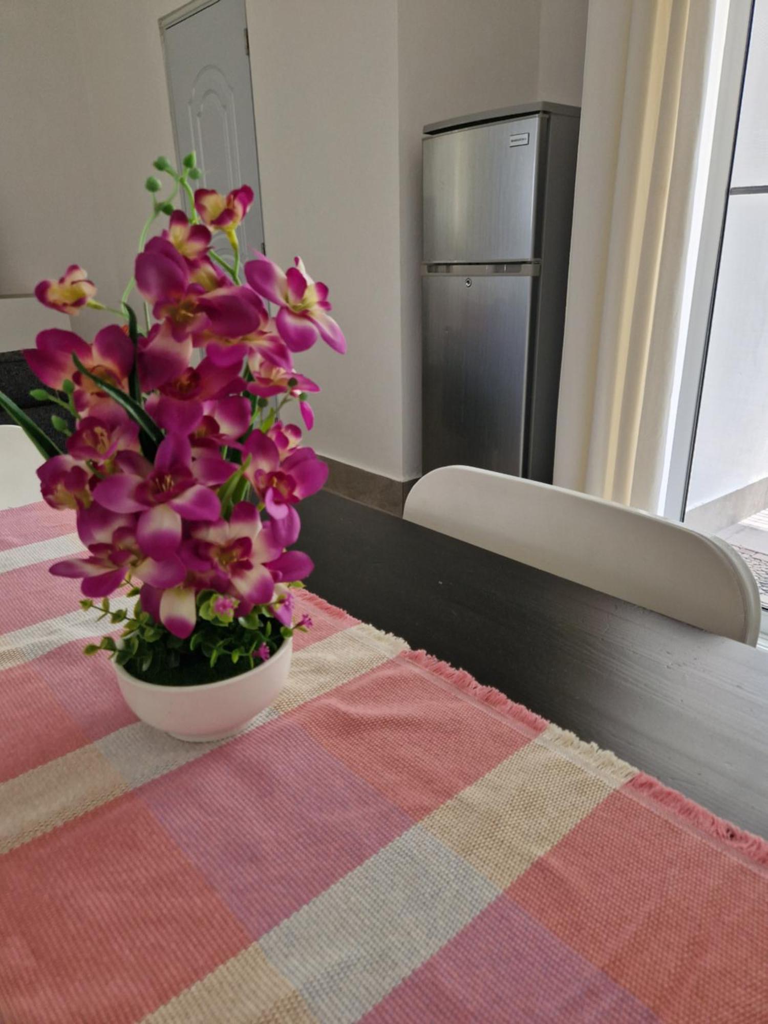 Villa Roberta โบกา ชิกา ภายนอก รูปภาพ