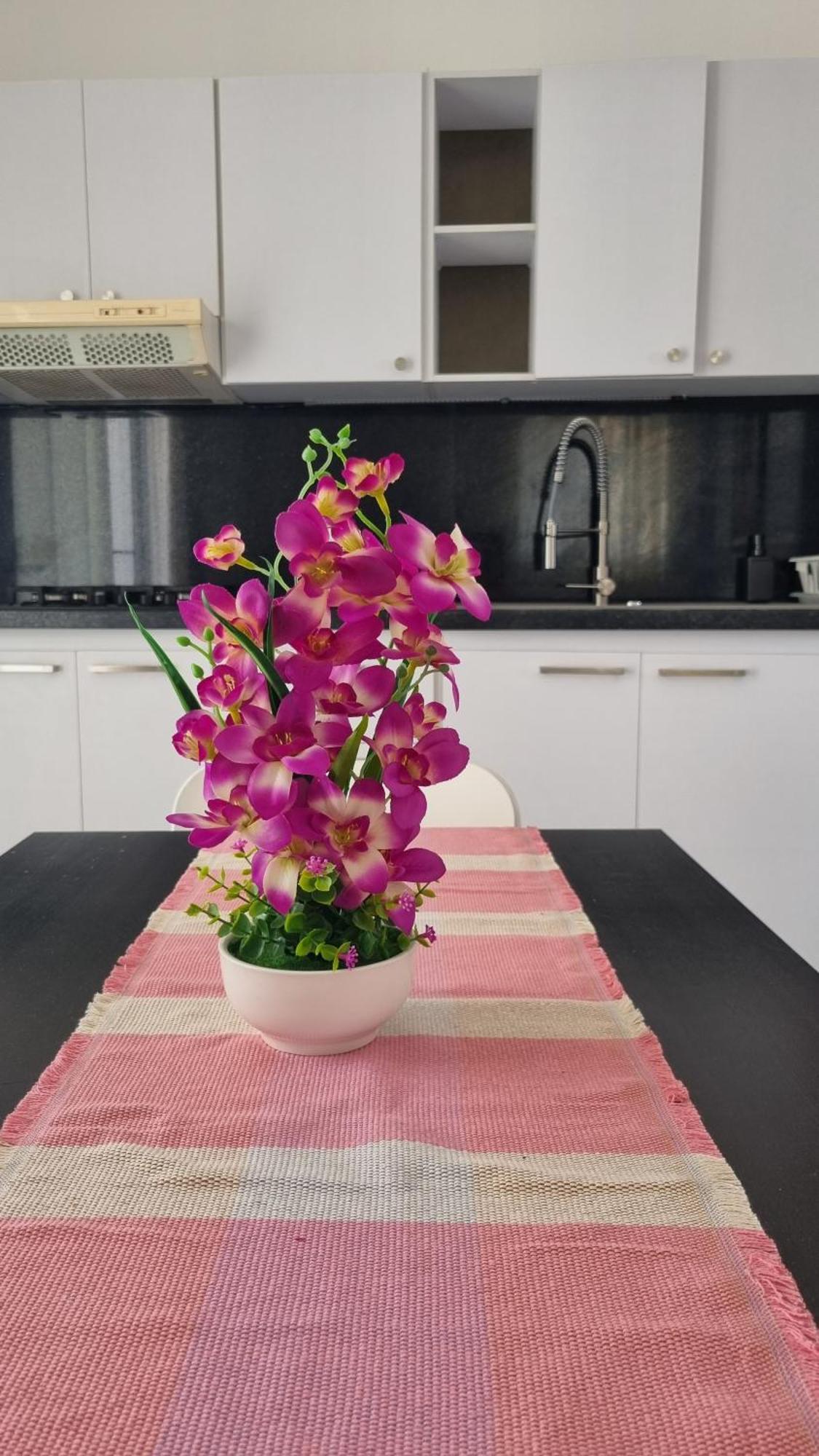 Villa Roberta โบกา ชิกา ภายนอก รูปภาพ